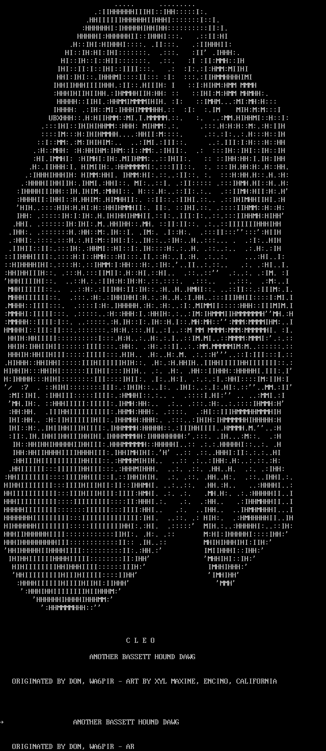 dog text art